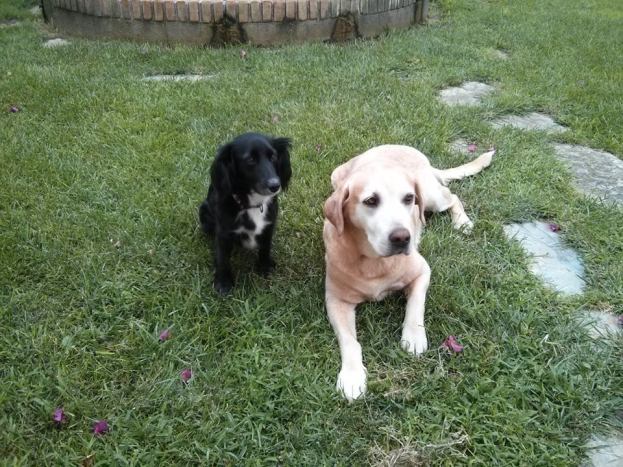 Rasti e Irachu en los jardines del Hotel Sol, Benicarló