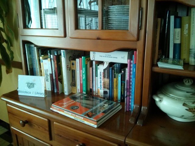 Selección de libros en la biblioteca del Hotel Sol  Benicarló