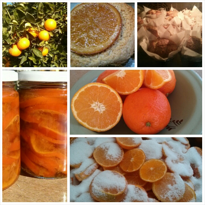 Confitura de naranja para los desayunos del Hotel Sol Benicarló