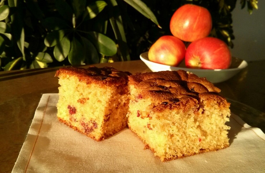 Bizcocho de manzana y arandanos sin lactosa