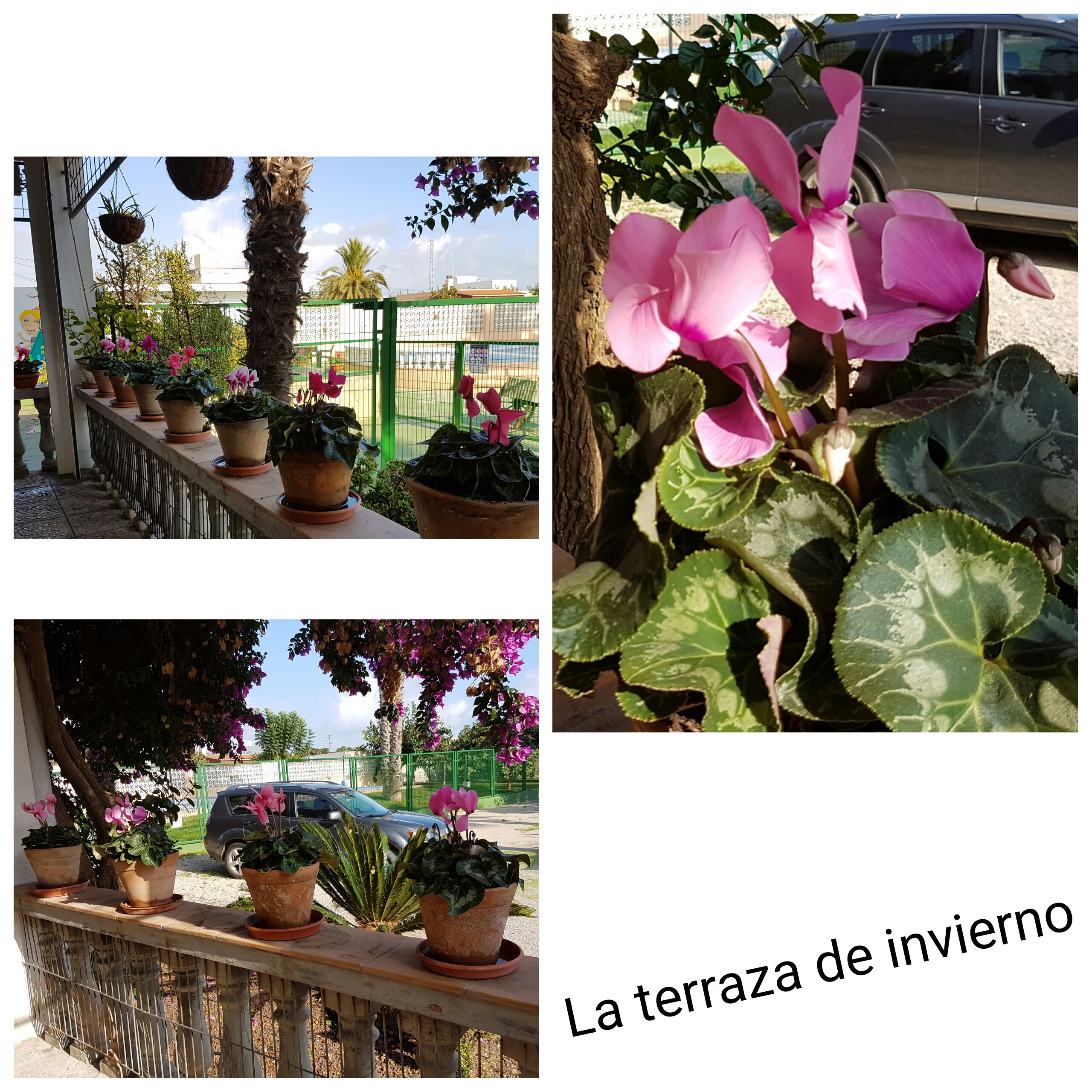 Terraza de invierno en el Hotel Sol de Benicarló