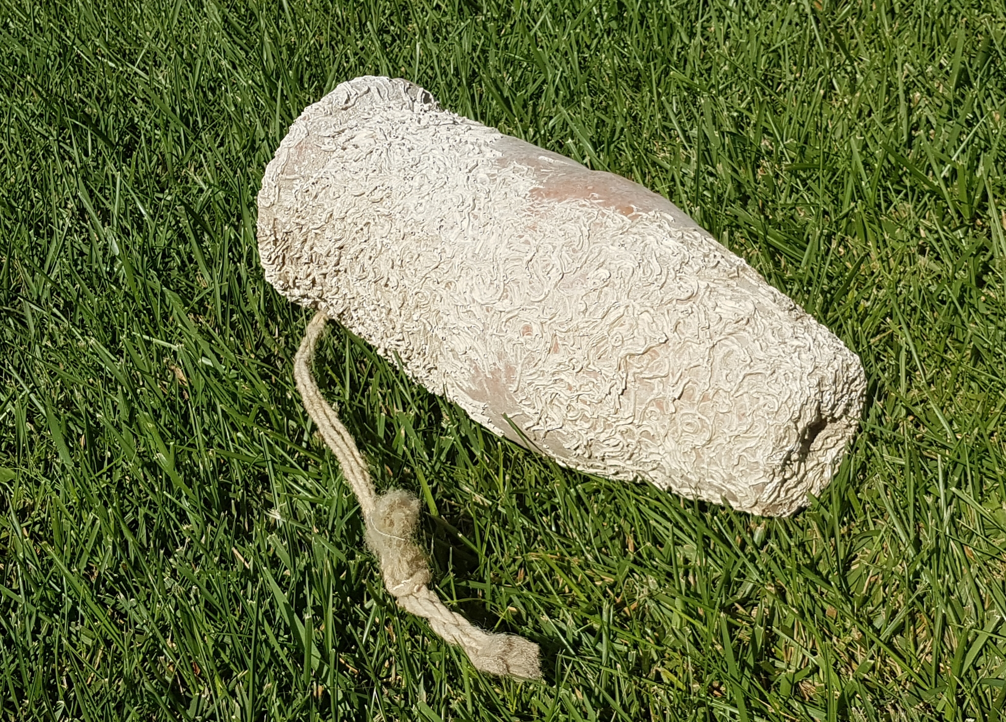20180921_150141.jpg